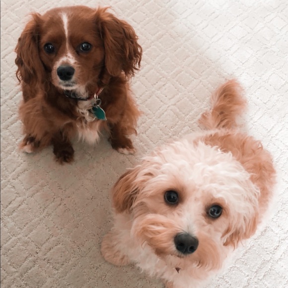 Get to know me!✨ - Picture 6 of 6